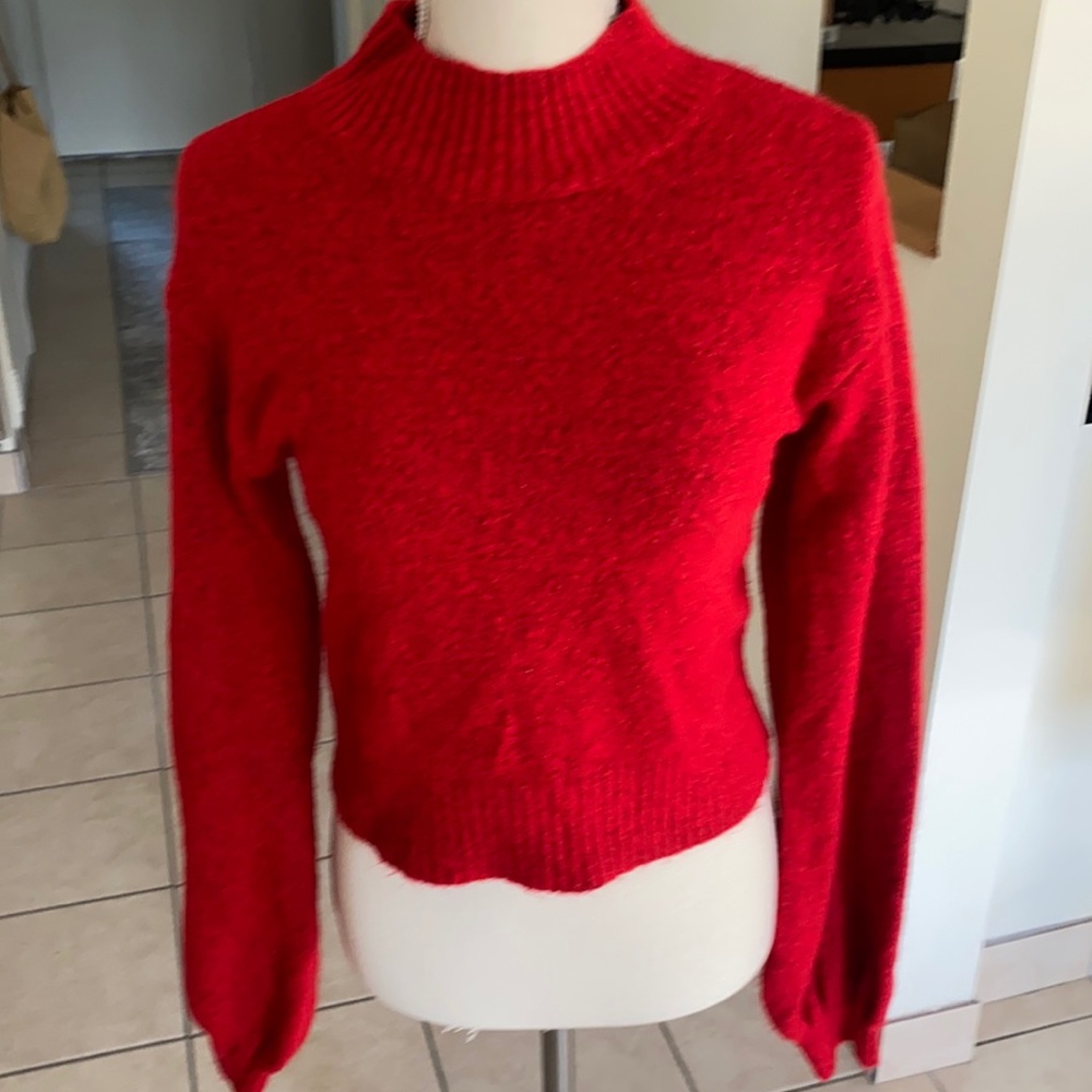 Red Turtle Neck